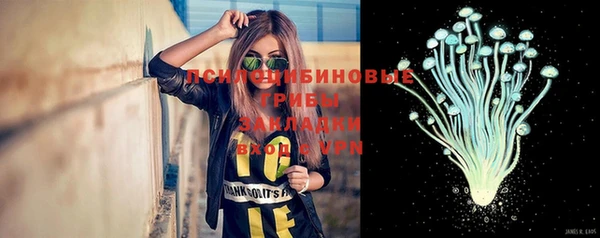 сатива Переславль-Залесский