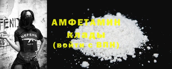 твердый Арсеньев