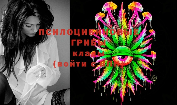 твердый Арсеньев