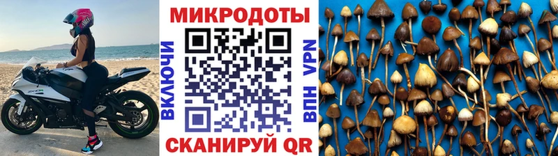 даркнет сайт  нарко площадка Telegram  Галлюциногенные грибы Psilocybine cubensis  Певек 